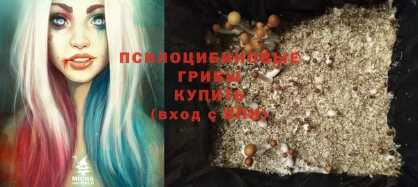 мяу мяу мука Баксан