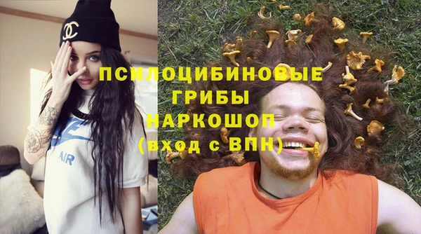 винт Богородицк
