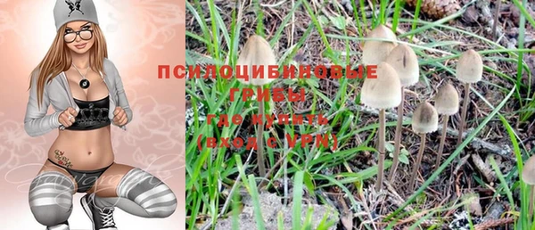 амф Богородск